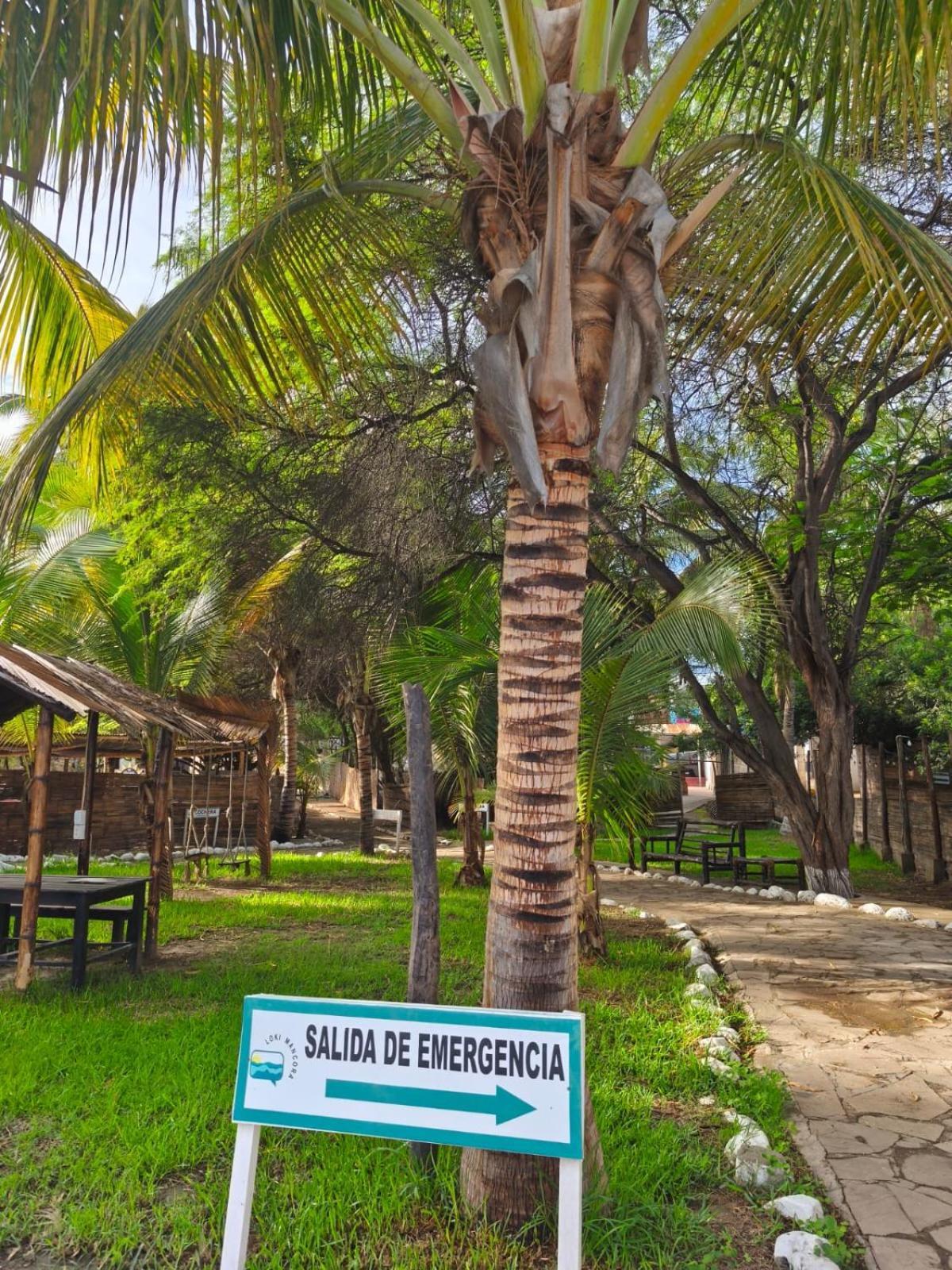 Loki Del Mar Hostel Máncora Kültér fotó